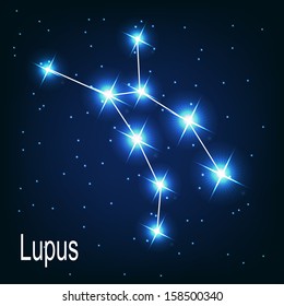 The constellation "Lupus" star in the night sky. Vector illustration