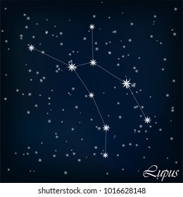 constellation Lupus in the starry sky