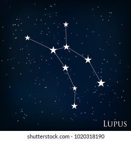 constellation Lupus in the starry sky