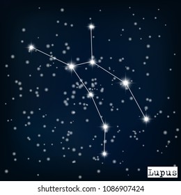 constellation Lupus in the starry sky