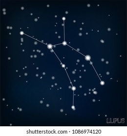 constellation Lupus in the starry sky