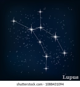 constellation Lupus in the starry sky
