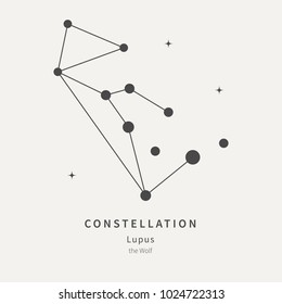 The Constellation Of Lupus. The Wolf - linear icon. Vector illustration of the concept of astronomy