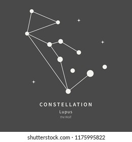 The Constellation Of Lupus. The Wolf - linear icon. Vector illustration of the concept of astronomy