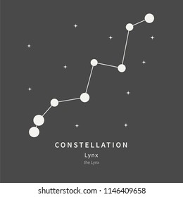 The Constellation Of Lynx. The Lynx - linear icon. Vector illustration of the concept of astronomy