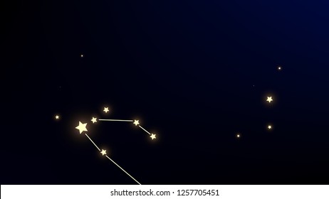 Constellation Map. Astronomical Print. Shining Cosmic Sky with Many Stars.     Dark Galaxy Pattern. Vector Space Stars Background.