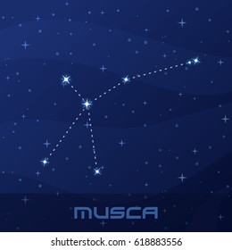 Constellation Musca, Fly
