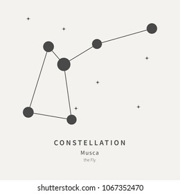 The Constellation Of Musca. The Fly - linear icon. Vector illustration of the concept of astronomy