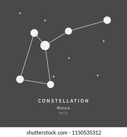 The Constellation Of Musca. The Fly - linear icon. Vector illustration of the concept of astronomy