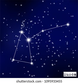constellation Musca in the starry sky