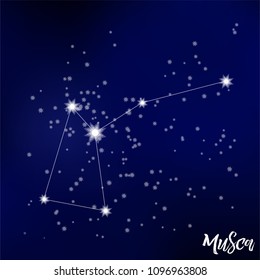 constellation Musca in the starry sky