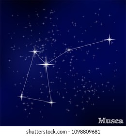 constellation Musca in the starry sky