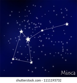 constellation Musca in the starry sky
