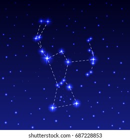 The Constellation Of Orion in the night starry sky. Vector illustration of the concept of astronomy