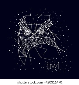 constellation , owl, vector art