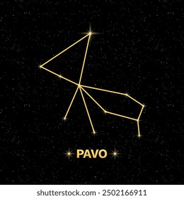 Constellation Pavo banner. Flat style. Vector illustration.