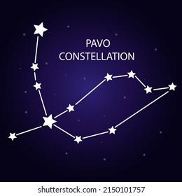 The constellation of Pavo with bright stars. A constellation on a blue background of the cosmic sky. Vector illustration.