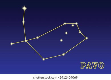 Constellation Pavo. Illustration of the constellation Peacock. Constellation of the southern hemisphere of the celestial sphere. Brightest star α Peacock, who is also known by the name Peacock