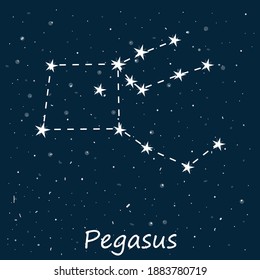 Constellation of Pegasus in starry night sky. Celestial body in space, latin inscription. Vector stock illustration in cartoon style. Can be used in astronomy textbooks, fashion magazines.