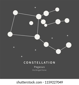 The Constellation Of Pegasus. The Winged Horse - linear icon. Vector illustration of the concept of astronomy