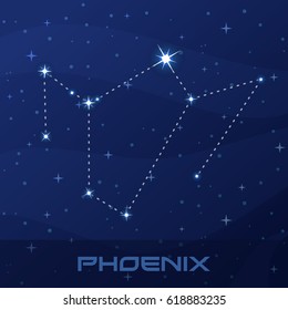 Constellation Phoenix