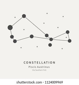 The Constellation Of Piscis Austrinus. The Southern Fish - linear icon. Vector illustration of the concept of astronomy