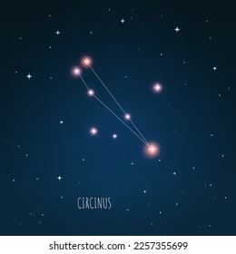 Constellation scheme in starry sky. Open space. Vector illustration Circinus constellation through a telescope