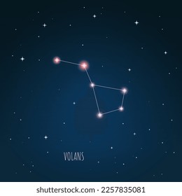 Constellation scheme in starry sky. Open space. Vector illustration Volans constellation through a telescope