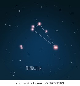 Esquema de constelación en cielo estrellado. Espacio abierto. Ilustración vectorial Constelación de triangulo a través de un telescopio