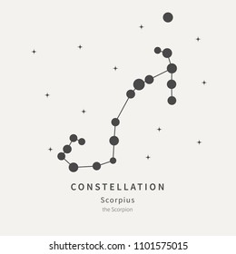 The Constellation Of Scorpius. The Scorpion - linear icon. Vector illustration of the concept of astronomy