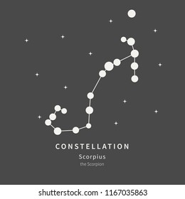 The Constellation Of Scorpius. The Scorpion - linear icon. Vector illustration of the concept of astronomy