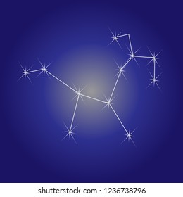 constellation shooter,night sky