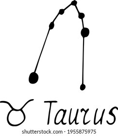 constellation taurus icon and lettering. hand drawn doodle style. vector, minimalism, monochrome, sketch. zodiac sign horoscope
