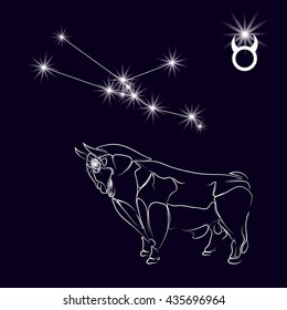 Constellation Taurus. Realistic star. White bull, zodiac sign. Tattoo. Made with a predominance of white on a dark background. Vector illustration