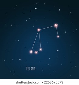 Constellation Tucana en cielo estrellado. Espacio abierto. Ilustración vectorial constelación de Tucana a través de un telescopio. 