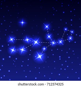The Constellation Virgo in the night starry sky. Vector illustration of the concept of astronomy