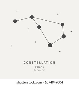 The Constellation Of Volans. The Flying Fish - linear icon. Vector illustration of the concept of astronomy