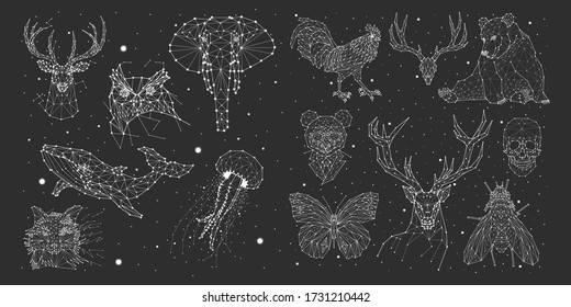 Constellations deer, bison, elephant, rhinoceros, crab, elephant, octopus, vector