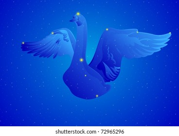 Constellations of the night sky. Abstract image of figures under the name of the constellation.