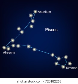 constellations of the pisces star. vector illustration