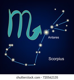 constellations of the scorpion star horoscope vector illustration