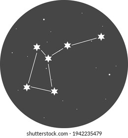 Constellations of the southern hemisphere of the Musca