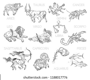 Constellations  zodiac signs  horoscope  Aries  Taurus  Gemini  Cancer  Leo  Virgo  Libra  Scorpio  Sagittarius  Capricorn  Aquarius  Pisces  Vintage engraving tattoo style drawings isolated white 