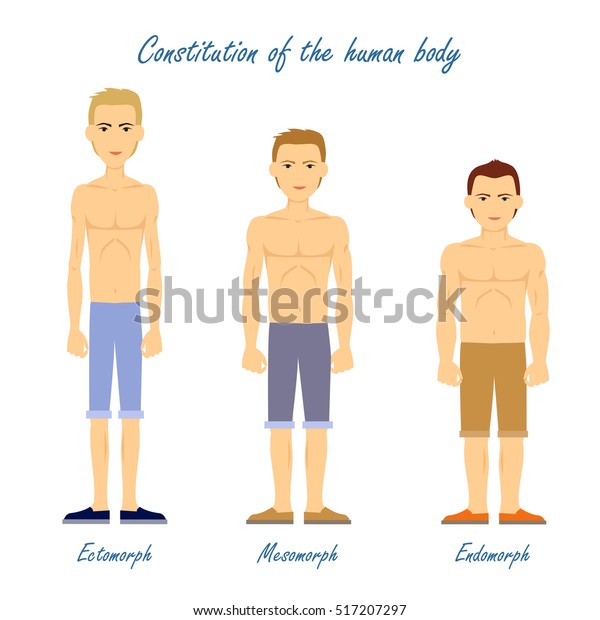 Constitution Of Human Body Ectomorph Mesomorph Endomorph Men In Underwear Cloth 