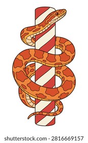 Constrictor snake wrapped around barber pole. Reptile with orange spots. Realistic animal drawing on white background.