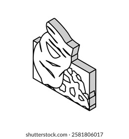 construction debris removal isometric icon vector. construction debris removal sign. isolated symbol illustration