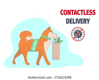 Contacless delivery. Prevention of coronavirus during pandemic and quarantine. Dog as a courier is delivering a bag with food. Stay home safely and shop online. 