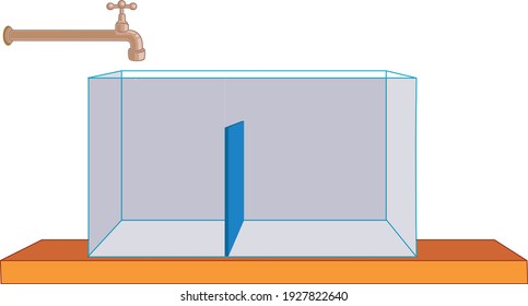 Contenedor dividido en dos y punteo para el experimento de agua