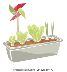 container with growing lettuce and onion