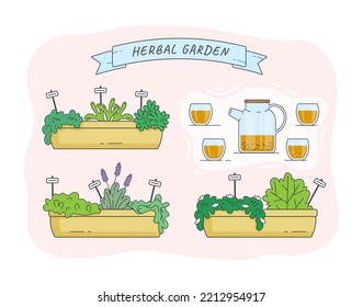 container herbal garden, tea kettle, herbal tea cups